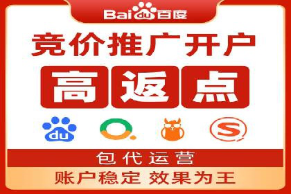 SEM投放策略优化案例分析